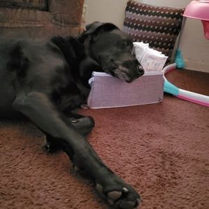 Meet your Posher, Christina